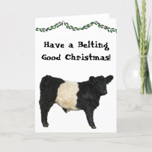 Mooie Kerstriem Belted Galloway Beltie Koe Kaart
