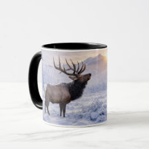 Mooie Kerstvakantie Eland in Sneeuw