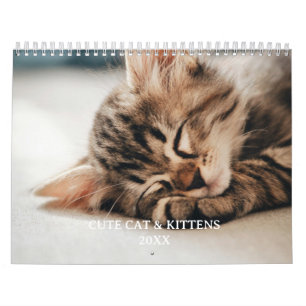 Mooie Kitten En Kat Huisdier Foto Kalender