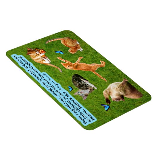 Mooie Kitten Schrift Magneet Mattheüs 18:3 (Rechterzijde)