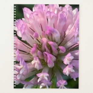 Mooie klaverbloem planner
