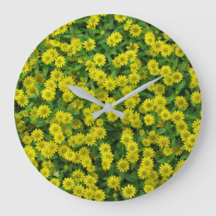 Mooie Kleine Gele Bloemen Grote Klok