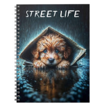 Mooie kleine hond op een regendag met blauwe ogen