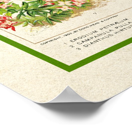 Mooie kleur botanische flora poster (Hoek)