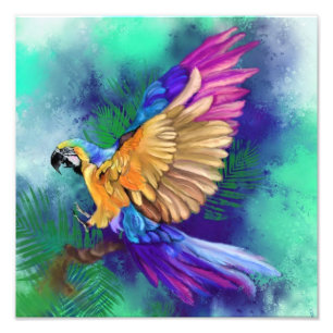 Mooie kleur Parrot Poster schilderij
