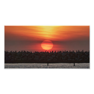 Mooie kleuren bij zonsondergang - Marina Del Rey, Foto Afdruk