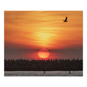 Mooie kleuren bij zonsondergang - Marina Del Rey, Foto Afdruk