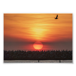 Mooie kleuren bij zonsondergang - Marina Del Rey, Foto Afdruk