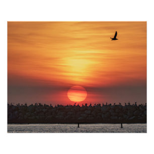 Mooie kleuren van zonsondergang - Marina Del Rey, Foto Afdruk