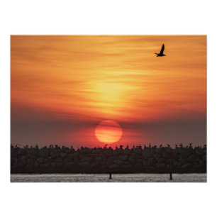 Mooie kleuren van zonsondergang - Marina Del Rey, Foto Afdruk