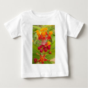 Mooie kleurrijke bloem met Milkweed Art Print