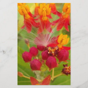 Mooie kleurrijke bloem met Milkweed Art Print Briefpapier
