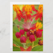 Mooie kleurrijke bloem met Milkweed Art Print Briefpapier (Voorkant / Achterkant)