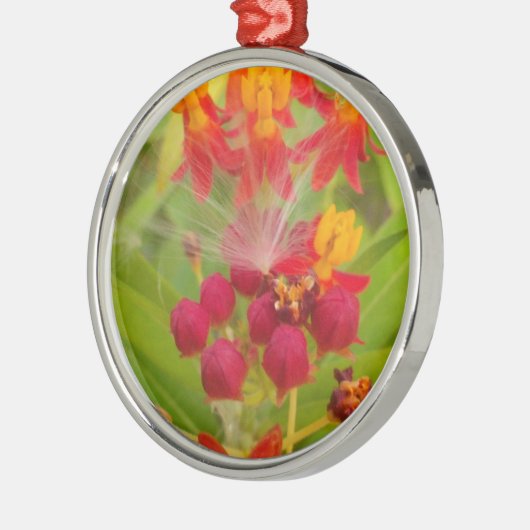 Mooie kleurrijke bloem met Milkweed Art Print Metalen Ornament (Links)