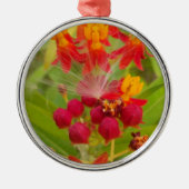 Mooie kleurrijke bloem met Milkweed Art Print Metalen Ornament (Voorkant)