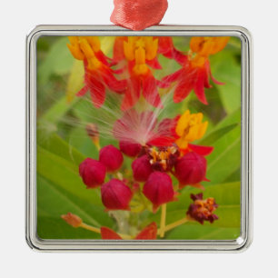 Mooie kleurrijke bloem met Milkweed Art Print Metalen Ornament
