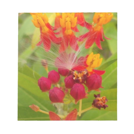Mooie kleurrijke bloem met Milkweed Art Print Notitieblok (Voorkant)