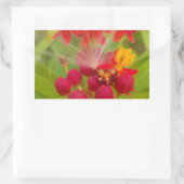 Mooie kleurrijke bloem met Milkweed Art Print Rechthoekige Sticker (Tas)