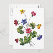 Mooie kleurrijke geborduurde houtzuring briefkaart (Voorkant / Achterkant)