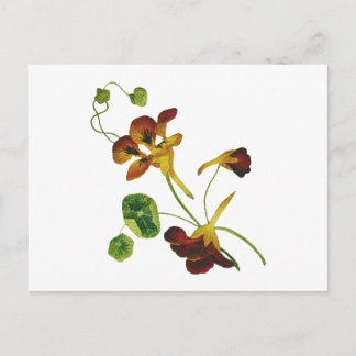 Mooie kleurrijke geborduurde Nasturtiums Briefkaart