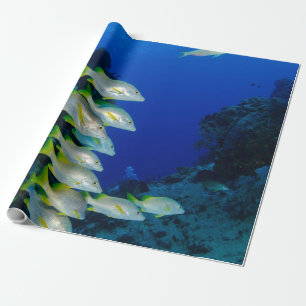 Mooie, kleurrijke vissen Beste geschenk voor het Cadeaupapier