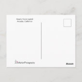 Mooie kolibrie poseert om dank je wel te zeggen briefkaart (Achterkant)