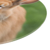 Mooie konijn snijplank (Hoek)
