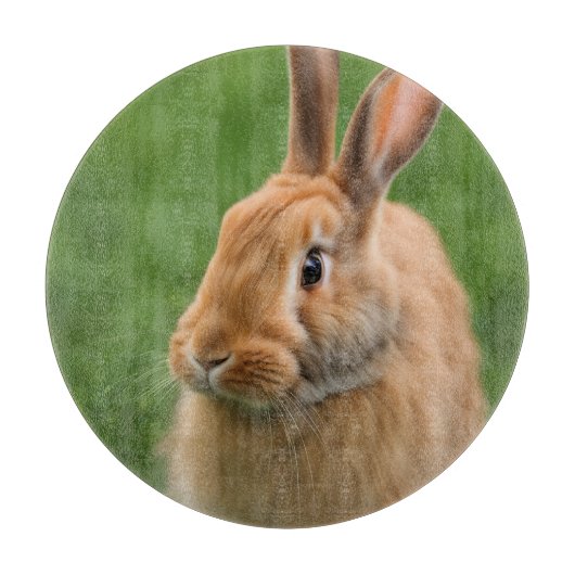 Mooie konijn snijplank (Voorkant)