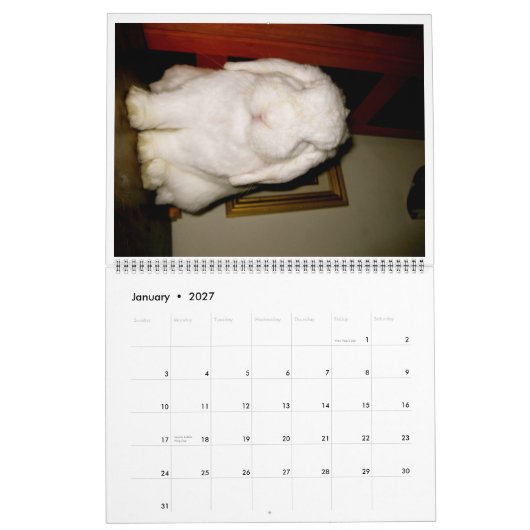 mooie konijnen kalender (Jan 2027)