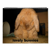 mooie konijnen kalender (Hoes)