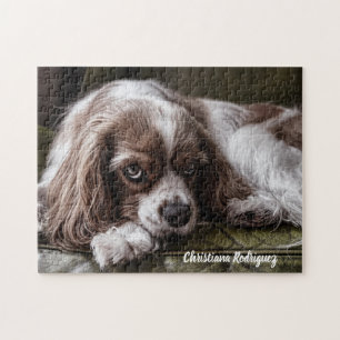 Mooie koning Charles Spaniel Legpuzzel
