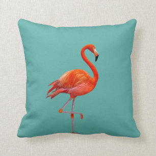 Mooie koraalroze flamingo op turquoise kussen