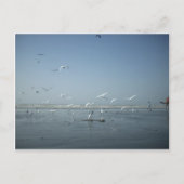 Mooie kranen vliegen over het ballet van Water Nat Briefkaart (Voorkant)