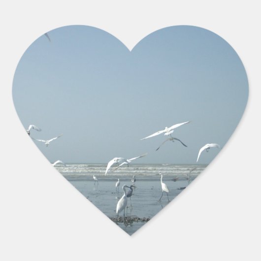 Mooie kranen vliegen over het ballet van Water Nat Hart Sticker (Voorkant)