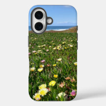 Mooie Kustbloemen / Oceaan Uitzicht foto