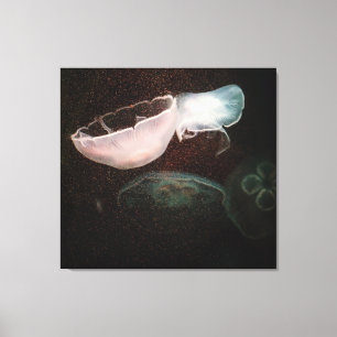 Mooie kwallen canvas afdruk