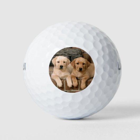 Mooie lab puppy's golfballen (Voorkant)