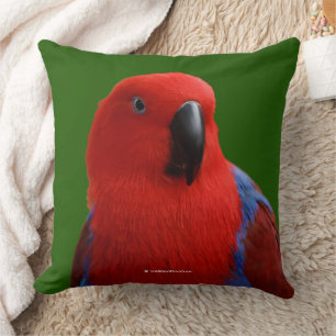 Mooie "Lady in Red" Eclectus papegaai vogel Kussen