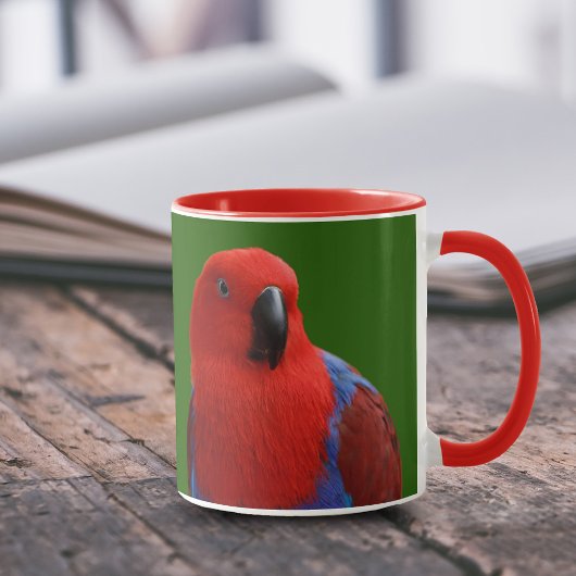 Mooie 'Lady in Red' Eclectus Parrot Mok