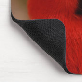 Mooie 'Lady in Red' Eclectus Parrot Muismat (Hoek)