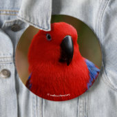 Mooie 'Lady in Red' Eclectus Parrot Ronde Button 6,0 Cm (In situ)