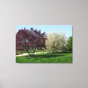 Mooie Landschap en Bomen Canvas Afdruk