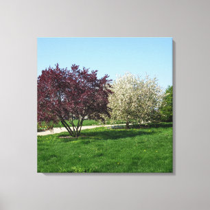 Mooie Landschap en Bomen Canvas Afdruk