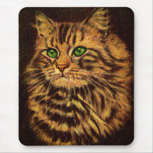mooie langharige tabby kat muismat