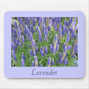 Mooie Lavendel Muismat