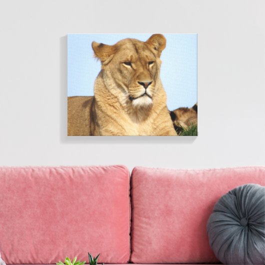 Mooie leeuw in de natuur canvas afdruk (Insitu (Woonkamer))