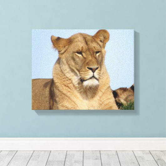 Mooie leeuw in de natuur canvas afdruk (Insitu (Houten vloer))