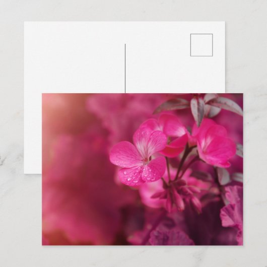 Mooie lentbloemen briefkaart (Voorkant / Achterkant)