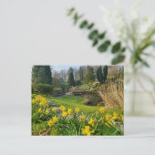 Mooie lentesaffodils briefkaart (Staand voorkant)