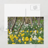 Mooie lentesdioltuin briefkaart (Voorkant / Achterkant)